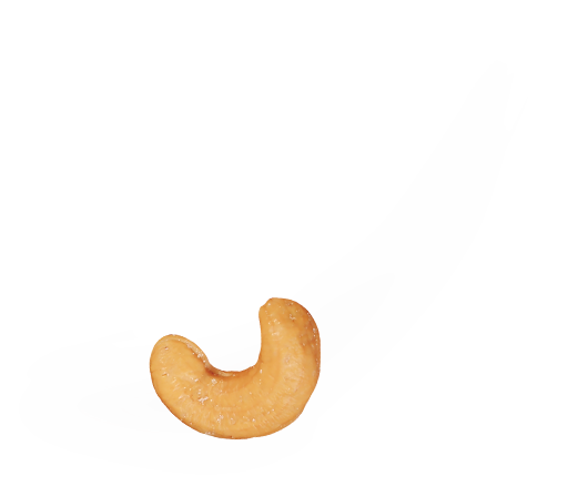 cashew with motion